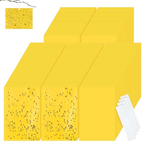 JYNVO 50 Piezas Trampas para Insectos [Amarillo, 10x20 cm, Doble Cara Adhesiva, Cinta Regalo] - Ecológica, Sin Tóxinas, Amarillos Trampas de Moscas Atrapa Moscas