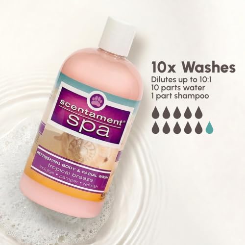 Image of Best Shot Scentament Spa Tropical Breeze Seasonal Facial & Body Wash, 1 Gallon