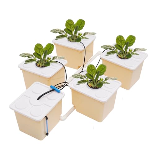 czyuRachel Hydrokultur Grow System Kit, 11L Home Indoor Blumen Hydroponics Anzucht-System 5 Eimer Tropf Hydroponik Wachstumssystem Sämlingsbox High Production Setzling