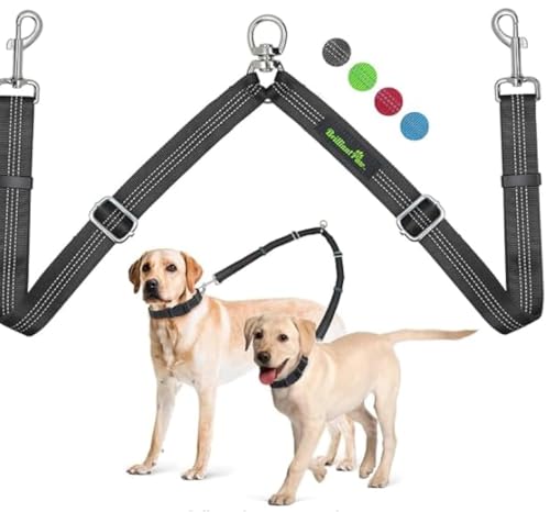 Brilliant Paw Double Dog Leash, Adjustable Length, Tangle Free, Reflective Stitching, Heavy Duty, Black, 1" Width, 29" Length