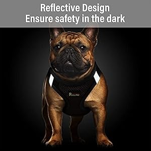 Plutus Pet Step-in Dog Harness, Adjustable Reflective Soft Dog Harness, Breathable Dog Vest Harness for Cats Puppy and Small Medium Dogs(M, Red)