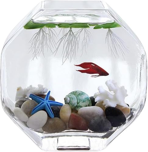 AOBOPO nCzCgKXANAEbbANA|jbNΉbpbOp  {bNX t@bV   n ^ ~j z[fR[V ItBXpi nIȃfUC  t@bVfUC u