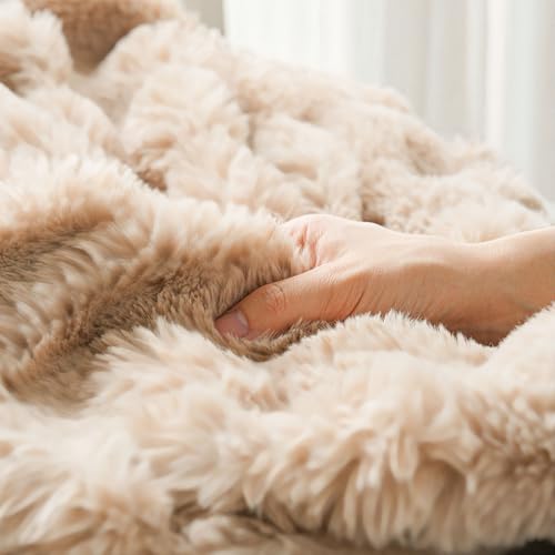 ѕz ӂƂѕz uPbg  􂦂 ÓdCh~ ʃtl ѕz uPbg 킢 Ƃӂ RR H~ g ₦΍ (Th)