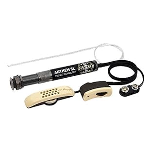 Patented TRUMIC carries the majority of the guitars’ frequency range while the Element Pickup carries only the lowest frequencies Noise cancelling microphone technology eliminates any annoying honky or boxy qualities from the inside of the guitar Mic...