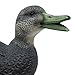 Final Approach HD Full Body Black Duck Decoys, 6 Pack