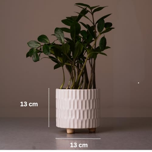 Image of Ceramic Pot for Indoor Plants - White (5 inches) | Has built-in stand so that water never clogs
