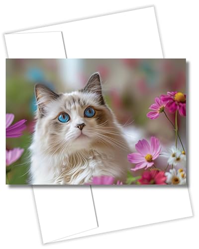 CATNEVERLAND Ragdoll Cat Greeting Card 5x7 Inch Any Occasion from