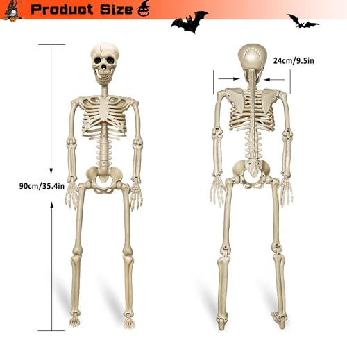 Image of 2 Pack 36 inchHalloween Skeleton - 3 ft Life Size Human Skeleton with Full Body Posable Joints Plastic Skeleton for Halloween Skeletons Decor Yard Patio Lawn Garden Skeleton Props Spooky Party Decoration