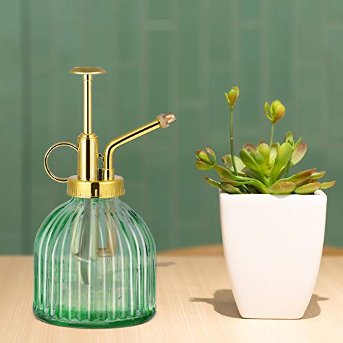Yardwe Frasco de Spray De Vidro para Plantas| 6. 29/ 16CM de Altura Planta Spritzer Pode Molhar Com