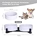 Ceramic Dog Bowl and Cat Bowls Set with 15° Adjustable Wood Stand, Non-Slip Weighted Pet Food and Water Bowls, Dual Raised Feeder for Small Dogs Cats, Matte Glaze Pet Dish 13.5oz Set of 2 (White)