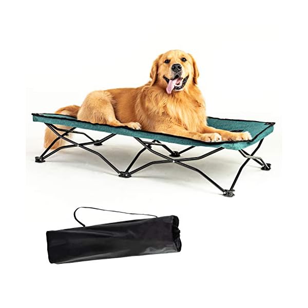 Large Elevated Folding Pet Bed Buy Online