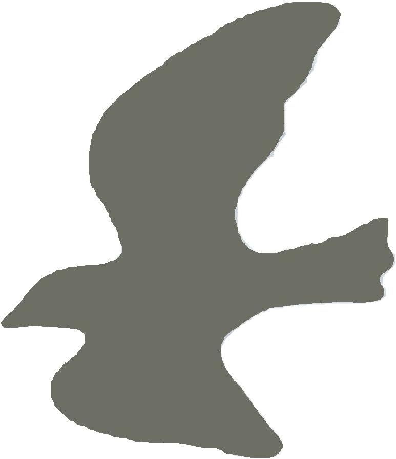 nido+flyingbird`d+gray