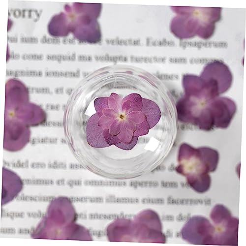 Magiclulu 30 piezas flores secas prensadas para manualidades miniatura 7