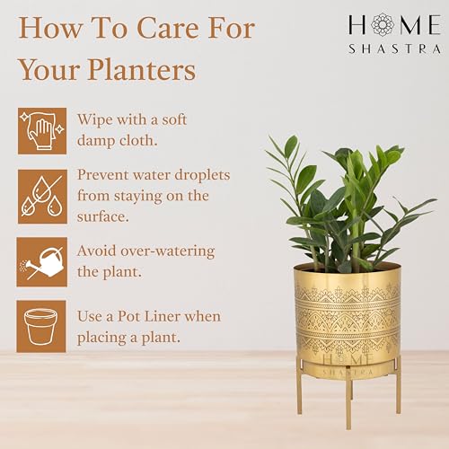 Image of Raaga Gold Metal Planter with Stand | Pack of 1 | 8 Inch (Height) 6 inch (Diameter) Planters for Living Room, Bedroom Decor