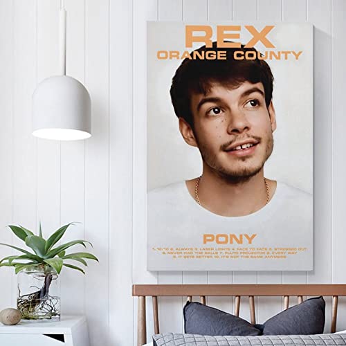 Impression sur toile Rex Orange County pour déco de chambre ado - 4