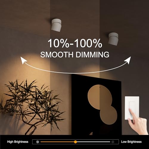 Image of Aisilan 15W LED Dimmable Ceiling Spotlight, Adjustable Directional Surface Flush Mount Lighting, Wall Spot Lights Indoor Accent Fixture for Art Picture Gallery Paintings, 3000K, White