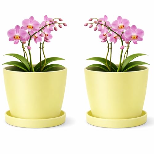 PECZEKO Macetero mate, maceta de plástico, maceta decorativa para plantas grandes y pequeñas, juego de 2 macetas con plato, maceta para hierbas, ácido cítrico, diámetro 30 cm
