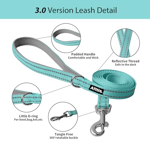 AIITLE No Pull Hundegeschirr, Step in einstellbares Hundegeschirr mit gepolsterter Weste, Hundeleine mit weichem gepolstertem Griff, leicht anzulegen für kleine und mittlere Hunde Reines Türkis S
