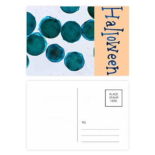 Cartes postales d'Halloween lot de 20 illustration créature bleue papeterie festive automne