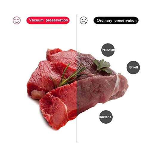 LIANGANAN Vakuumierer Vakuumierer Maschine, Kompakt-Vakuumverpackungsmaschine for Lebensmittel-Retter, Nasse… – Bild 3