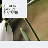 carolina manufacturer services  Carolina Man