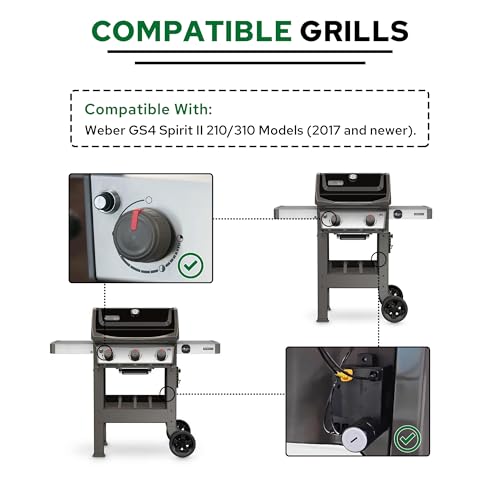 Repuesto de encendido para Spirit II E-210 E-310 Weber GS4 67053 de 2 salidas 3