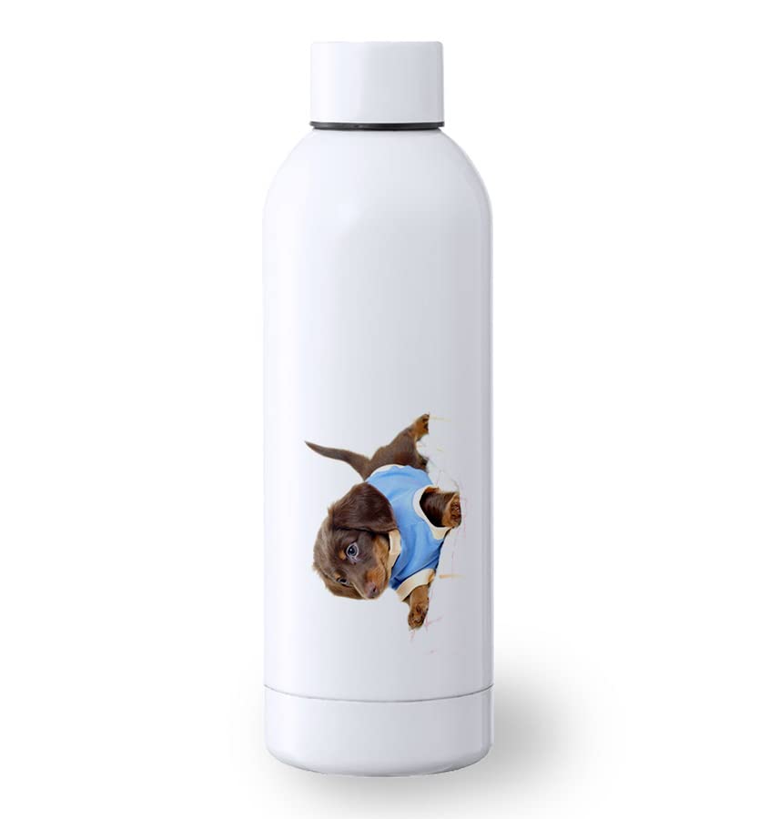 MERCHANDMANIA BIDON 500 ML ACERO INOXIDABLE perro salchicha arlequín perrito gracioso jugar deporte deportivo botella senderismo
