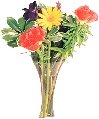 Gadjit Vinyl Window Vase Trumpet Style Flexible Vinyl Vase -- Attaches to Windows, Mirrors, or Other Non-Porous Surfaces with Suction Cups Vase Holds a Bouquet of Flowers, Water, Greenery
