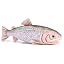 Rainbow Trout - 42 Cm