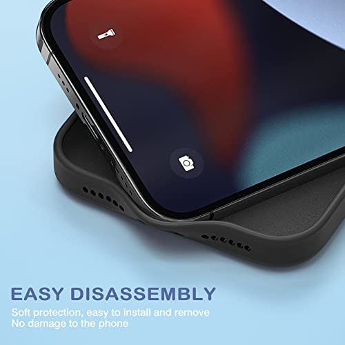 Newseego Cover compatibile con iPhone 11, custodia...