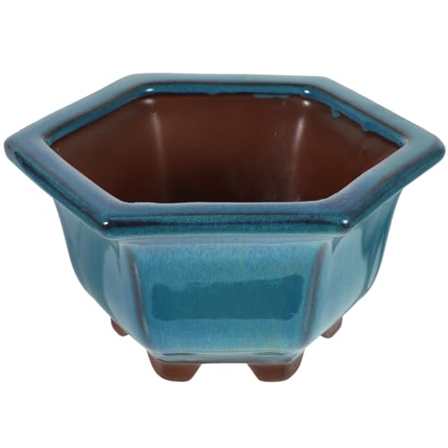 Homoyoyo Macetas grandes poco profundas: maceta de cerámica esmaltada para suculentas de 6.29 x 4.32 x 3.14 pulgadas, maceta de cerámica para suculentas con agujero de drenaje para decoración del