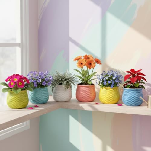 Image of Xtore 6Pc Vibrant Honeycomb Textured Ceramic Planter for Indoor Plants & Succulents | Colorful Decorative Flower Pots for Home, Office Desk, Windowsill & Shelf Styling (Multicolor - Planters only)