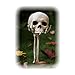 Crazy Bonez Skull in Hand Lawn Stake Decoration