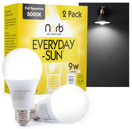 Norb Everyday Sun Light Bulbs | Full Spectrum Light Bulb LED 5000K Daylight | High CRI 97 Natural Color | Dimmable 800 Lumens A19 E26 for Energy, Mood & Performance | Energy Efficient 9W | 2-Pack