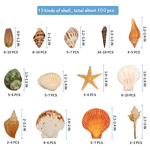 Jangostor 100PCS Sea Shells Mixed Ocean Beach Seashells with Starfish Perfect for Vase Fillers, Beach Theme Party Home Decorations,DIY Crafts, Fish Tank,Candle Making