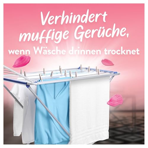 Lenor Luftfrisch Weichspüler Wildblumenfeld 50 Waschladungen, Für Wäsche Wie An Der Frischen Luft Getrocknet