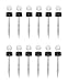 Greylock Apothecary 1 mL Dropper Pipette Sets of 2, 6, 12 Calibrated Glass Pipettes - Ergonomic Bulb Design for Full Draws Every Time - 0.1 mL Increments for Precise Measurements - 12 Pack