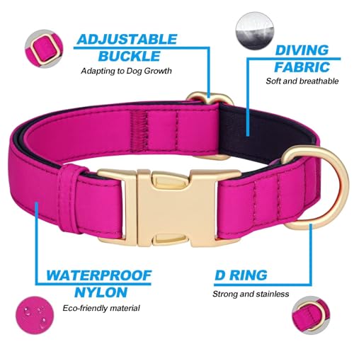 Didog Hundehalsband aus Nylon, weich gepolstert, strapazierfähiges Hundehalsband mit Schnellverschluss-Metallschnalle, leichtes und atmungsaktives Hunde Halsband für kleine Hunde,Hot Pink,S