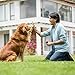 Pet Gentle Anti Barking Device, 2025 New Petgentle Dog Training Device, Handheld and Portable Dog Training with LED, Stop Barking, Jumping, Aggression, for All Dogs(1pc)