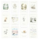 Edition Seidel Set 12 einfühlsame Trauerkarten/Beileidskarten mit Umschlag. Trauerkarte Beileidskarte mit Spruch schreiben Kondolieren (Doppelkarten/Klappkarten mit Briefumschlag) SW026