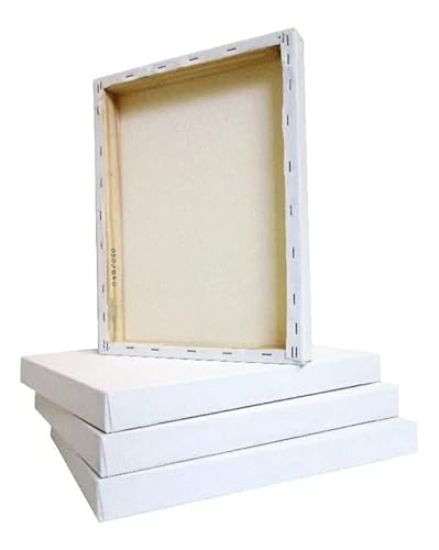 Tela Para Pintura 15x20cm