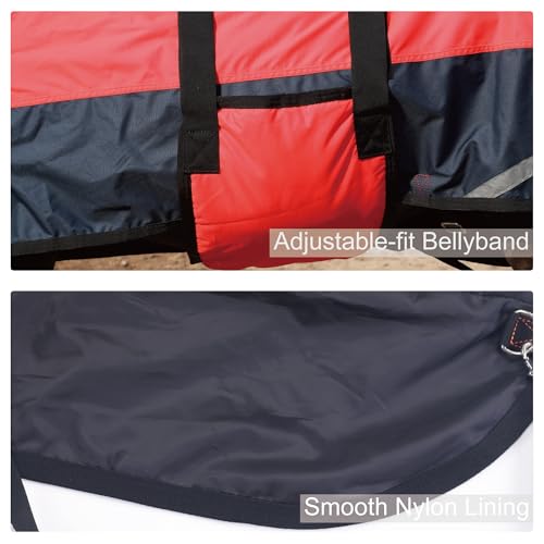 Foal/Mini Horse Size 30"-48" Waterproof & Breathable 300 Denier Winter Turnout Blanket with 150g Polyfill Fluorescencered Small - Image 5