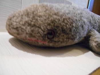 Amazon.co.jp: オオサンショウウオ 超BIGぬいぐるみ AMAZING