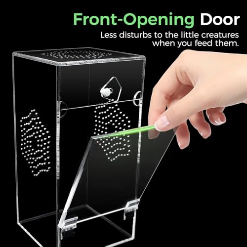 Gabinete de aranha saltadora de acrílico, porta de abertura frontal segura, 10 x 10 x 20 cm, habitat