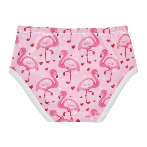 Joisal Cute Cartoon Flamingos Pink Little Girl Panties Toddler Underwear Floral Cotton Fun Undies Kids Briefs 2t2