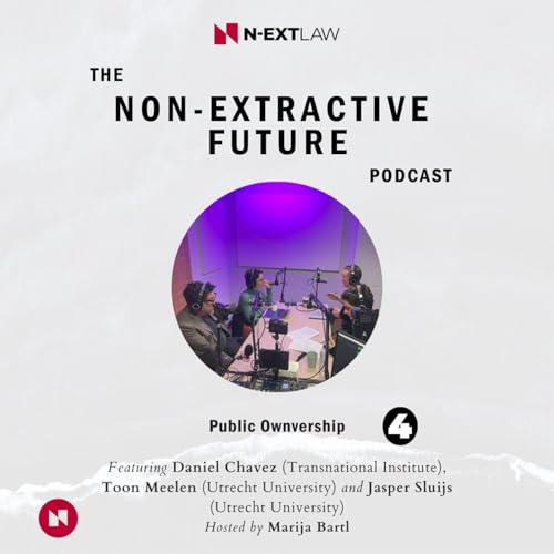 Public Ownership in the Transition to a Sustainable Economy