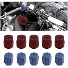 JOYCOURT 10PCS R134a Cap 13mm & 16mm Air Conditioning Service AC System Charging Port Caps, R134a A/C System Valve Cap Auto Replacement Leakproof Hat, 5 Blue Low Side & 5 Red High Side, Red&Blue