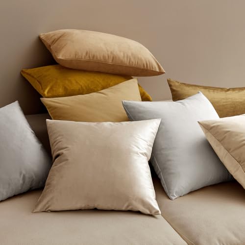 Image of MIULEE Velvet Throw Pillow Covers 18x18 Inch, Pack of 2 - Champagne, Super Soft Decorative Square Cushion Cases Modern Luxury Home Decor for Sofa, Couch, Bed, Chair with Invisible Zipper