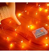 RUICHEN Fairy Lights Battery Operated, Copper Wire 16.4 Ft 50 LED String Lights Mini Firefly Star...