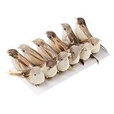 Posados ​​aves de plumas de bosques, para las jaulas de decoración, árbol, bonsai, adornos de mesa, etc.